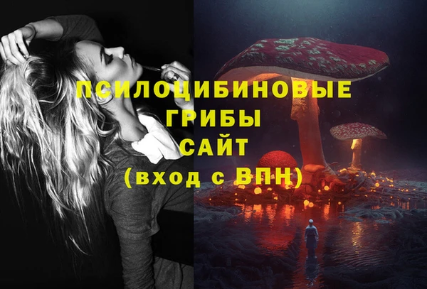 МДПВ Балахна